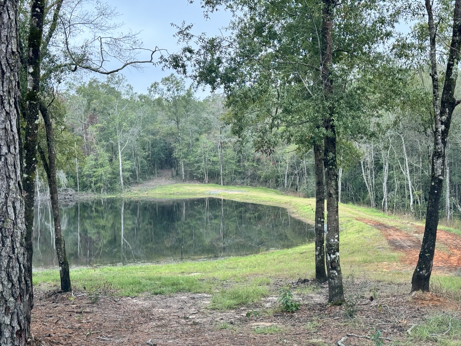 Finished pond construction project